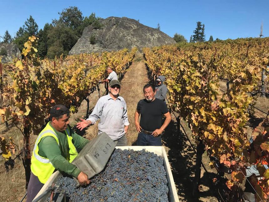 Harvest crew on the Bei Ranch ridge vineyard